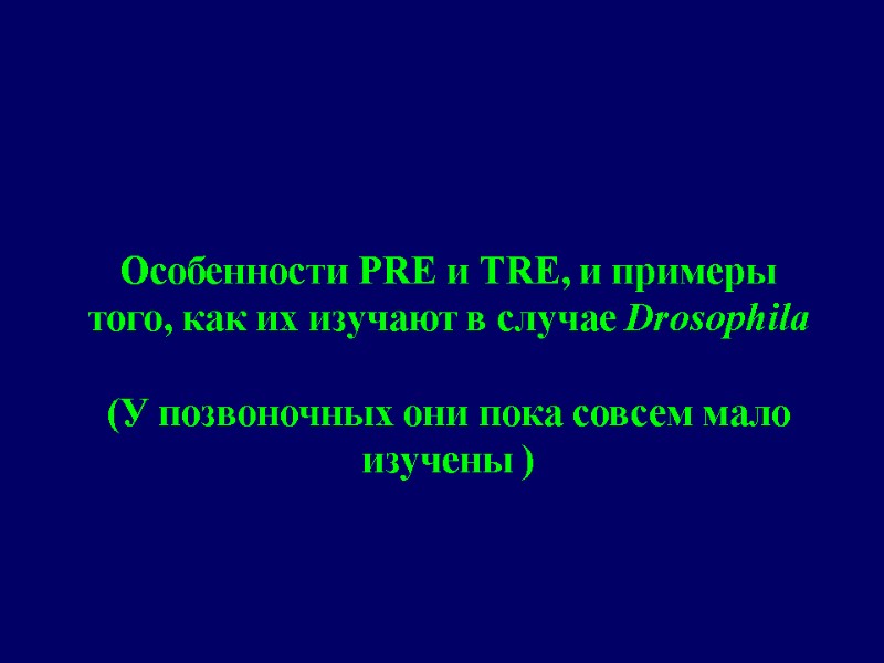 Особенности PRE и TRE, и примеры того, как их изучают в случае Drosophila 